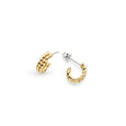 KH 41071GRP MARINA GOLDEN STUD HOOPS