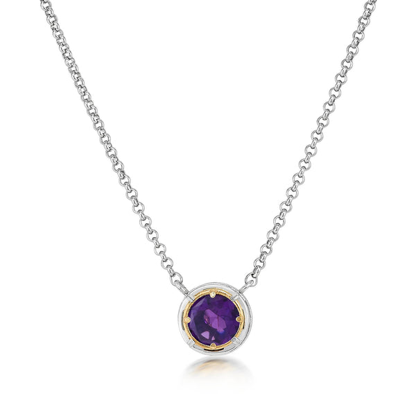 AT 808AT-A TWO TONE AMETHYST NECKLACE