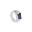 SB R-HUD01 HUDSON STAINLESS STEEL SODALITE RING